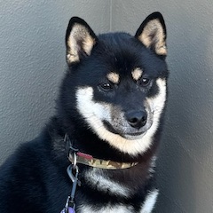 Goro